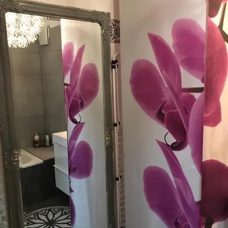 Apartment Designapartment Alegra